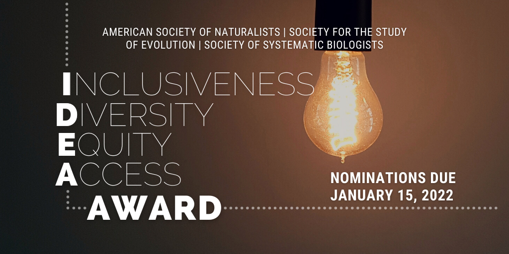 The words Inclusiveness, Diversity, Equity, Access Award and Nominations due January 15, 2022 in white on a dark background next to a glowing lightbulb